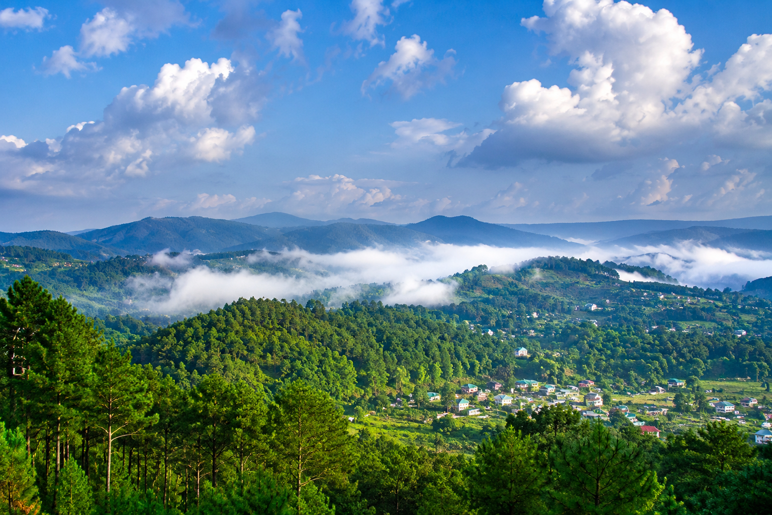 Misty hills of Meghalaya near Maahita Haven